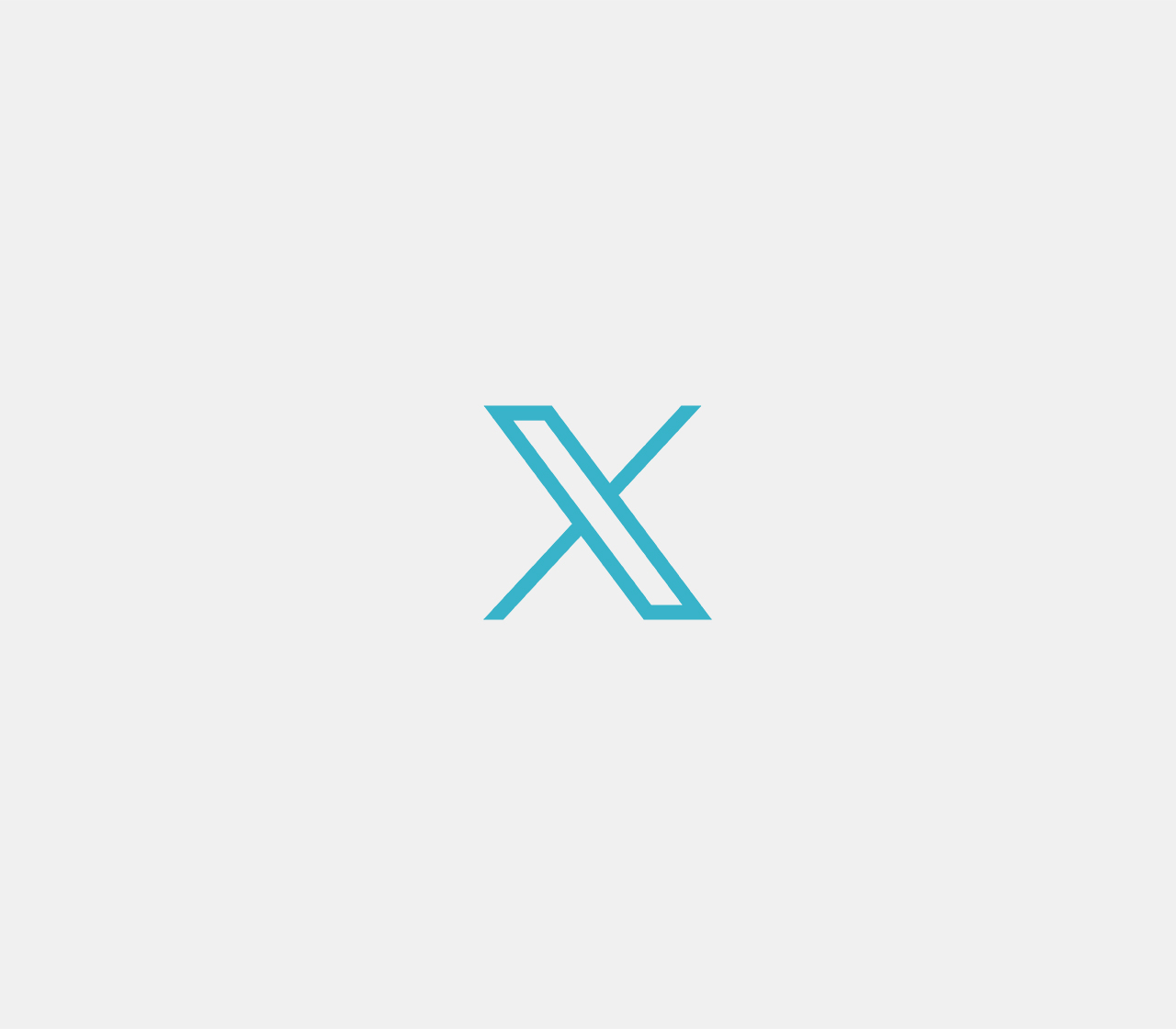 X garantiza que no utilizará datos personales privados para entrenar sus modelos de IA