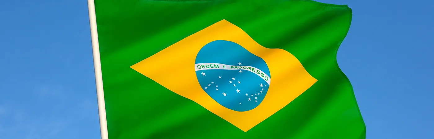 Meta podrá seguir usando su nombre en Brasil, de momento